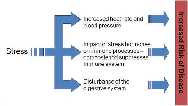 How Stress Impacts Your Immune System and Overall Health